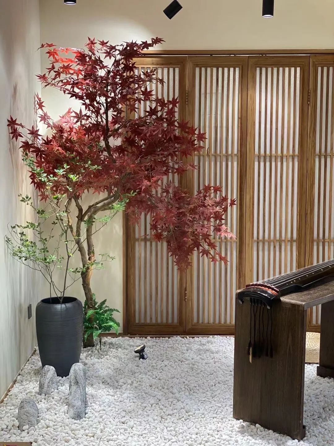 颐和琴展|聆听倪琴 颐和琴展|聆听倪琴